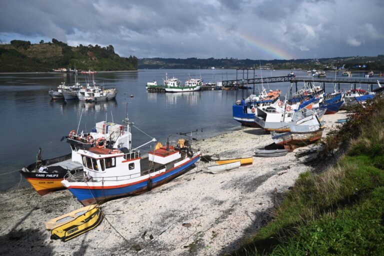 Alejandro Santana anuncia inversión de $1.100 millones del Gobierno Regional para apoyar la pesca artesanal en zonas contiguas