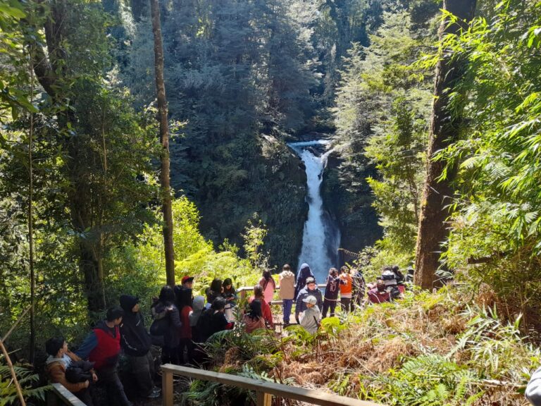 Establecimientos de 22 comunas de la región participarán en Programa de Educación al Aire Libre (PEAL) del PAR Explora Los Lagos