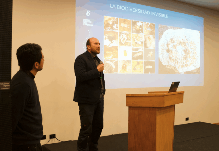 Turismo con propósito: presentan innovador modelo de gestión de destino sostenible en el Lago Llanquihue