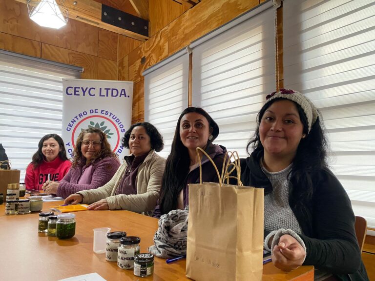 15 mujeres de Chonchi son favorecidas con curso de cosmética natural gestionado por la OMIL y financiado por Naviera Vergara