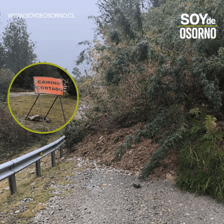 Emergencia en Trafunco Los Bados: Colapso de pasarela peatonal y ruta interrumpida tras intensas lluvias