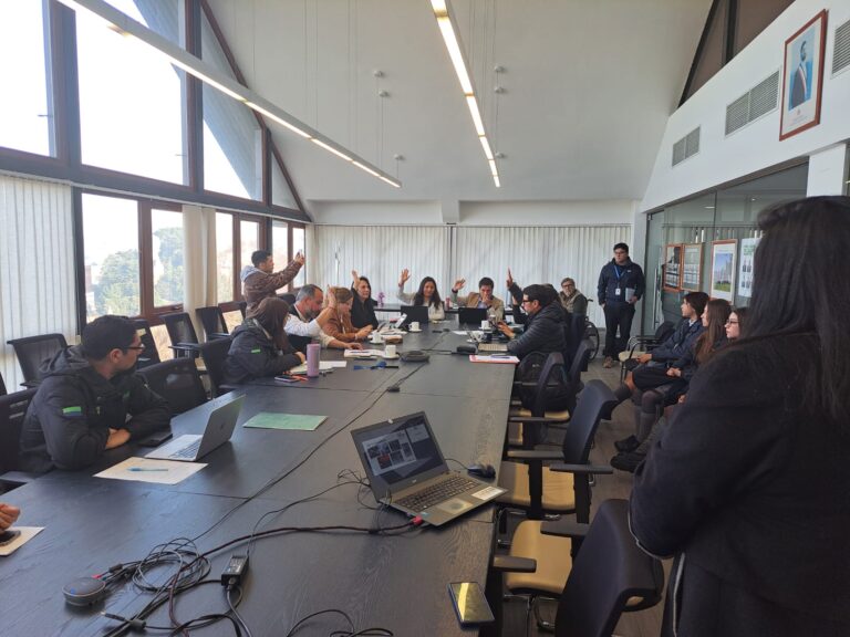 Comisión Provincial Llanquihue aprueba recursos para asignaciones directas y plan maestro de aguas lluvias