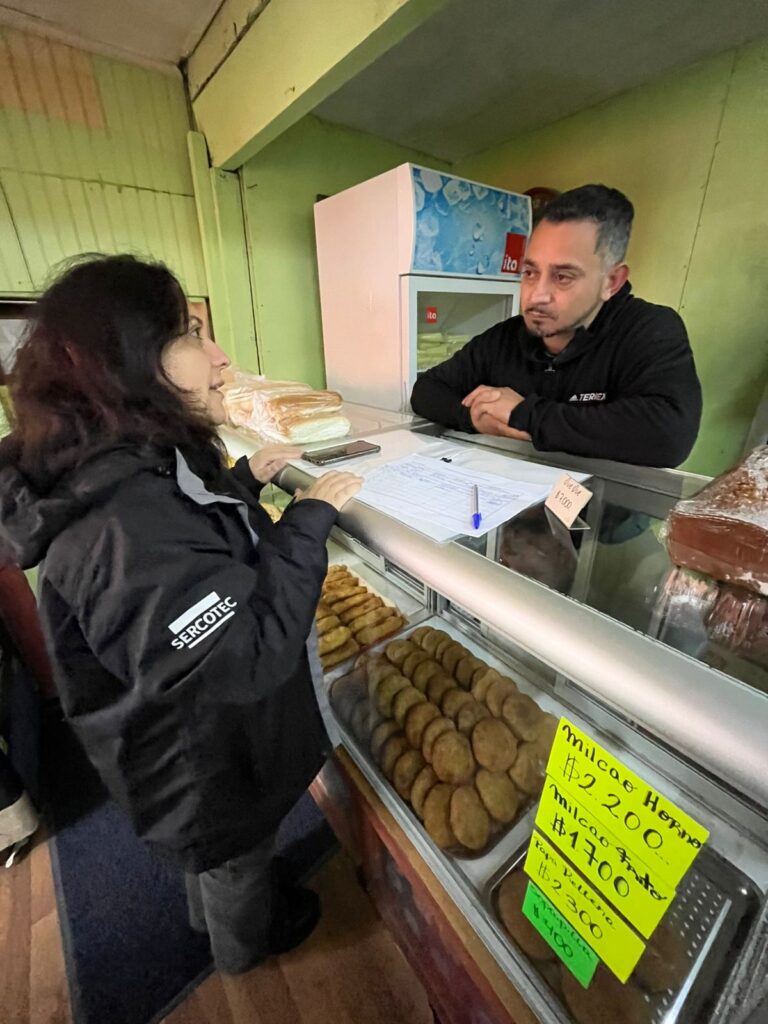 Ministerio de Economía inicia catastro para apoyar a empresas afectadas por tornado en Puerto Varas