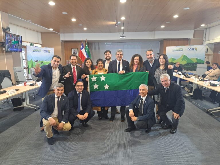 Consejo Regional de Los Lagos aprueba asignaciones directas para iniciativas sociales, deportivas y culturales en la provincia de Llanquihue
