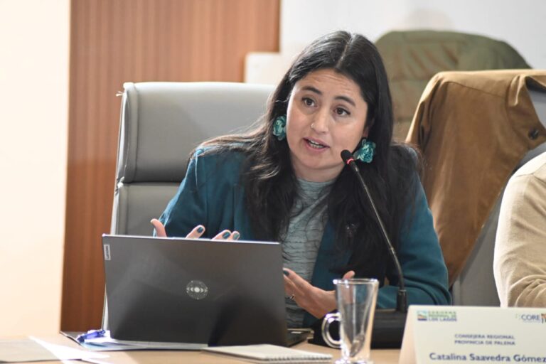 Consejo Regional de Los Lagos aprueba uso gratuito de inmueble fiscal para impulsar el arte y la cultura en Chaitén