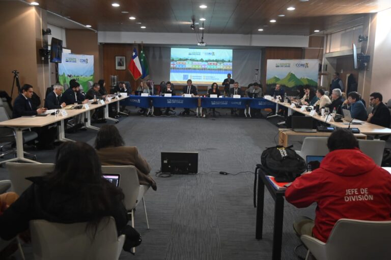 Consejeros Regionales de Chiloé alertan por falta de especialistas médicos en la provincia y solicitan intervención del Minsal