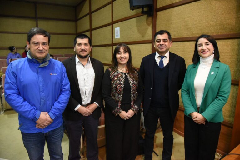 Transición Energética en Los Ríos: Región avanza en estrategias de Litio e Hidrógeno Verde