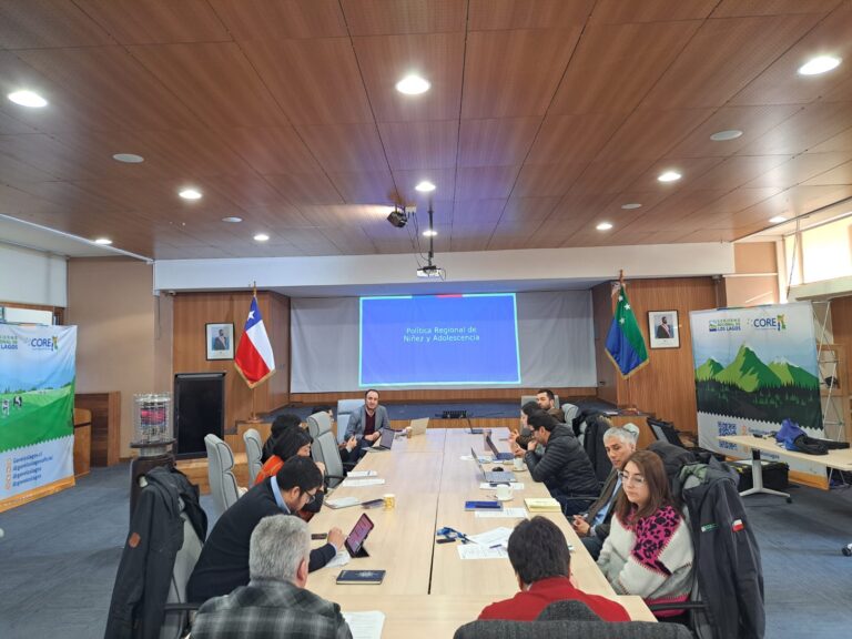 Proponen a la Comisión Social del CORE la creación de una Política Regional de Niñez y Adolescencia