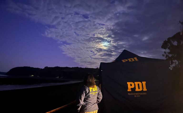 Hombre muere tras caída de árbol en Ancud: PDI investiga posible cuasidelito de homicidio