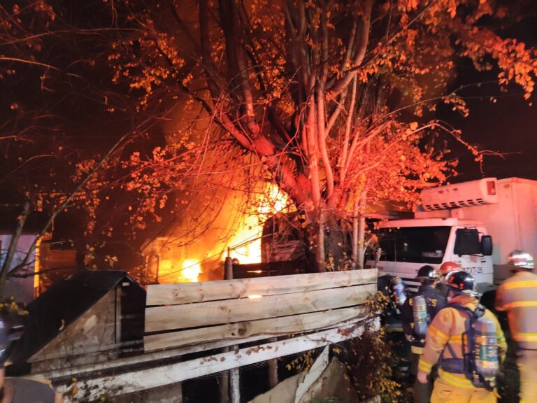 Dos buses resultan completamente destruídos en incendio en Río Bueno: se investigan las causas