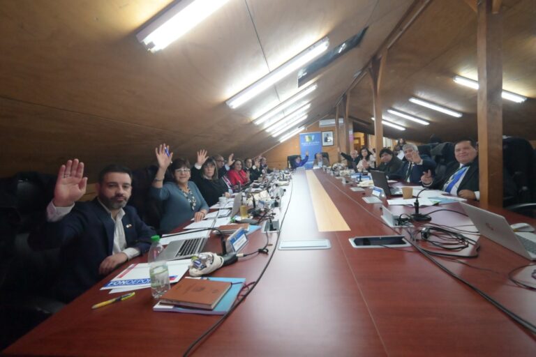 Core Los Ríos aprobó aumento de recursos para avanzar en la ejecución del Puente Amargos en Corral