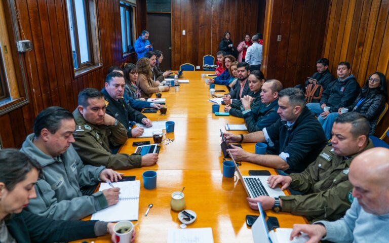 Autoridades regionales coordinan despliegue para asegurar correcto desarrollo de las Primarias Presidenciales en Los Lagos