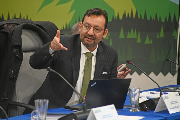 Consejo Regional oficiará a ministra de Medio Ambiente por falta de avances en protección de ríos Rahue y Damas
