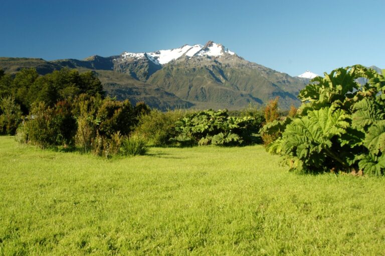 Consejeros regionales solicitan habilitación definitiva de accesos a Parques Nacionales en la provincia de Palena