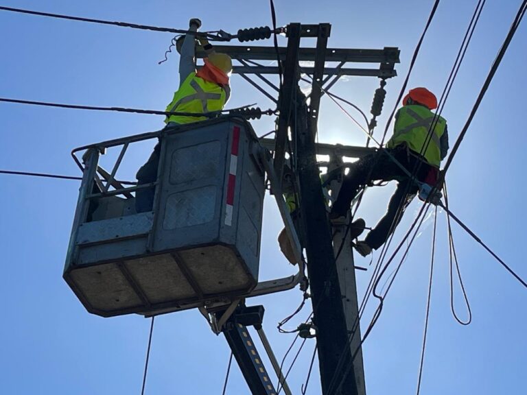 Saesa fortalece el mantenimiento en Osorno para garantizar un suministro continuo