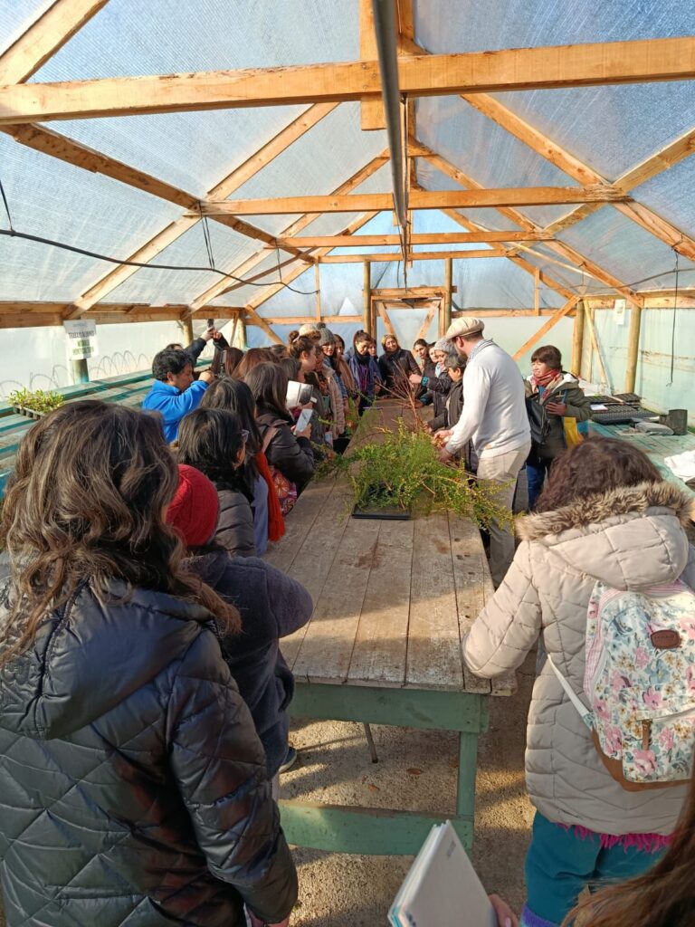 Instituto Adolfo Matthei fortalece capacidades y conocimientos en jardinería a más de 30 participantes del Programa Mujeres Jefas de Hogar