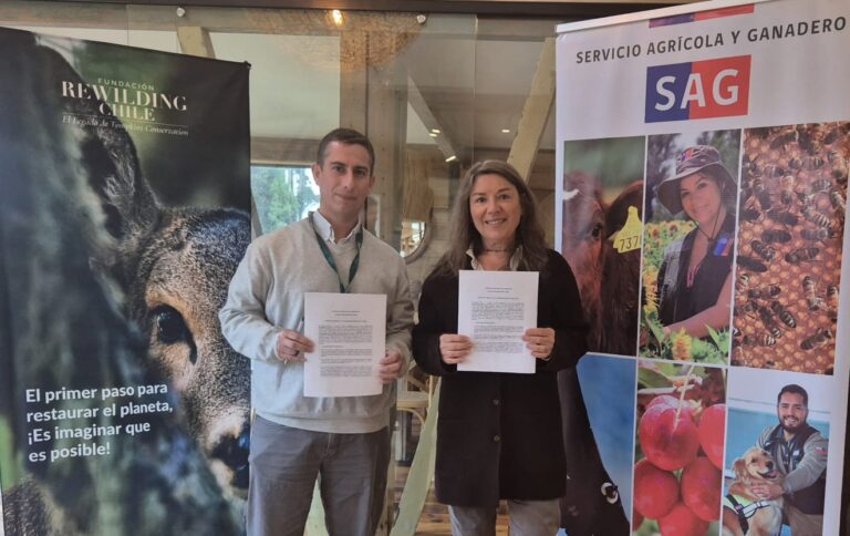 Fundación Rewilding Chile y SAG Los Lagos firman convenio para impulsar la conservación de especies amenazadas en la Patagonia Norte