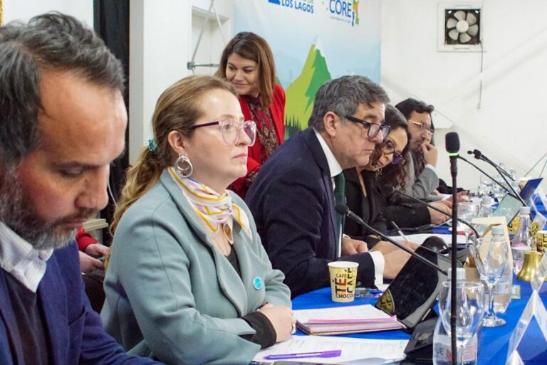 CORE Los Lagos aprobó adjudicación del Fondo de Medios 2025