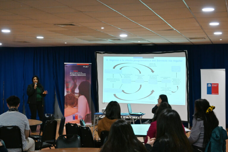 Oficinas Locales de la Niñez y Programas de Protección Especializada participan en Jornada sobre atención integral de niños, niñas y adolescentes