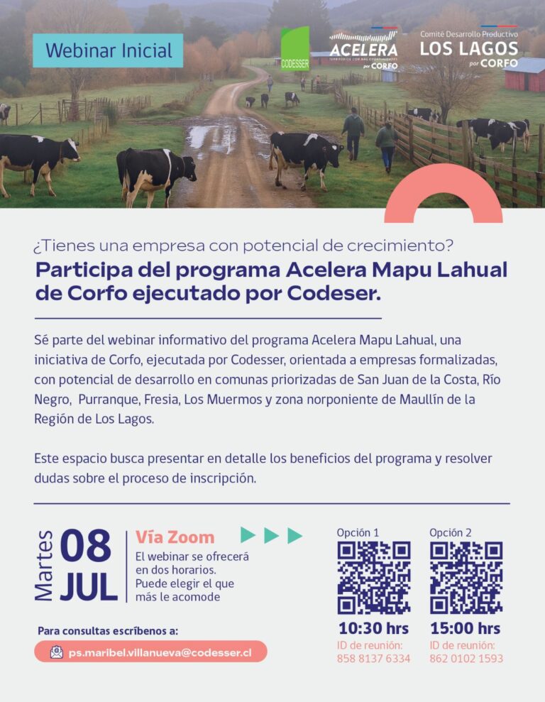 Empresas multisectoriales ya pueden postular al programa Acelera Mapu Lahual de Corfo Los Lagos