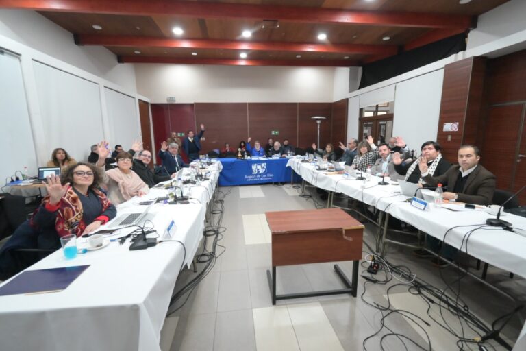 Plan Regional de Seguridad: Recursos del GORE Los Ríos permitirán reforzar el Programa de Televigilancia