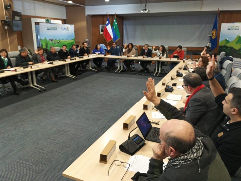 Comité Regional de Cambio Climático de Los Lagos debuta en Puerto Montt y fija hoja de ruta 2025
