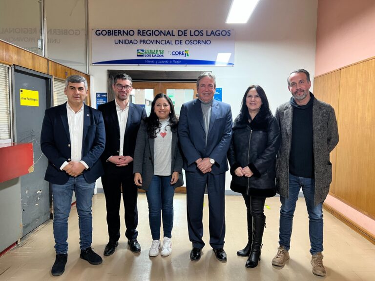 Presentan proyecto de habilitación de pabellón quirúrgico para el Hospital de Frutillar ante la Comisión de Salud del CORE