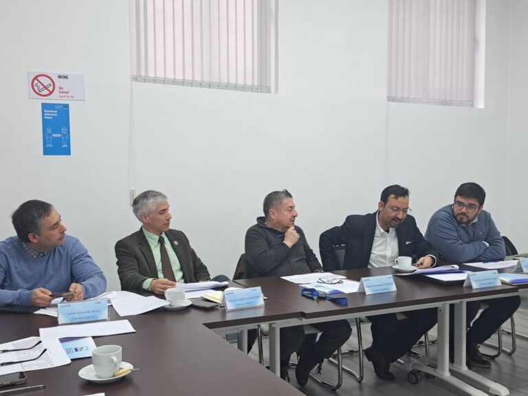 Consejeros regionales advierten escasez de proyectos con RS en comunas de la provincia de Osorno