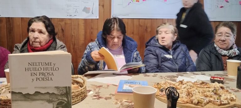 Leer en la cordillera: una comunidad que se reencuentra con los libros y la lectura en neltume y alrededores
