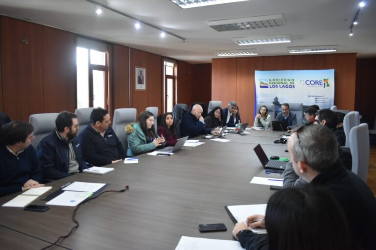 Comisión de Infraestructura del CORE citó a empresa constructora por graves fallas en departamentos de Puerto Montt 