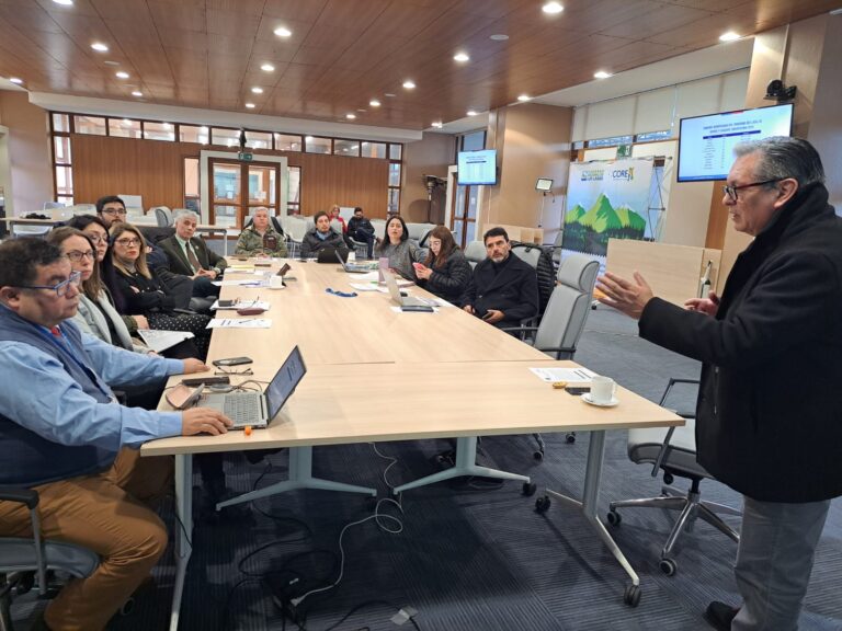 Comisión Social del CORE de Los Lagos avanza en la formulación de un programa regional de cuidados