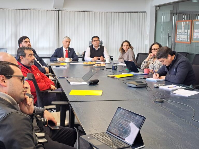 Comisión de Innovación del CORE Los Lagos proyecta programa para impulsar economía circular, IA y sostenibilidad en liceos de la región