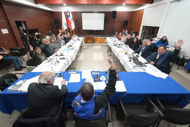 Gobierno Regional de Los Ríos destina $304 millones para siete proyectos del área cultural y deportiva