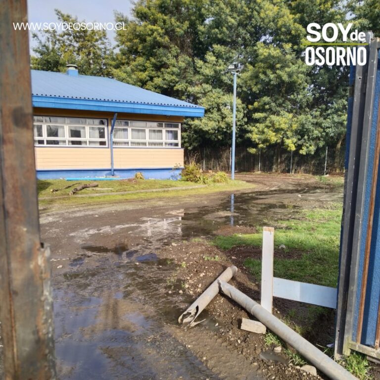 Grave crisis sanitaria en Escuela Pichil: apoderados denuncian abandono municipal ante rebalse de aguas servidas
