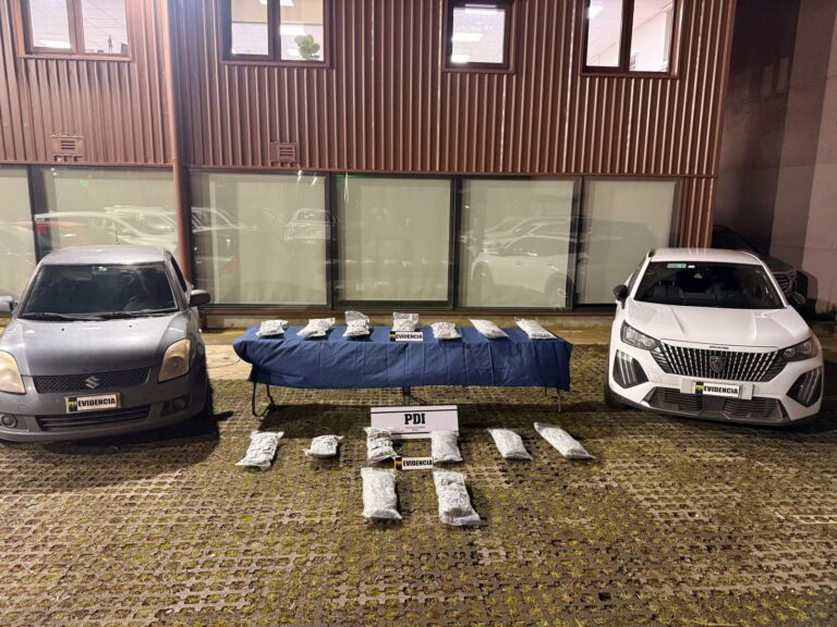 Dos detenidos y millonaria incautación de cannabis en operativo en Puerto Montt
