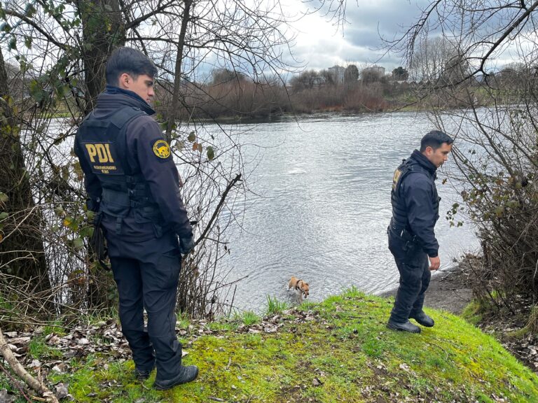 Continúan las diligencias por la desaparición de Alejandro Gallardo en Osorno