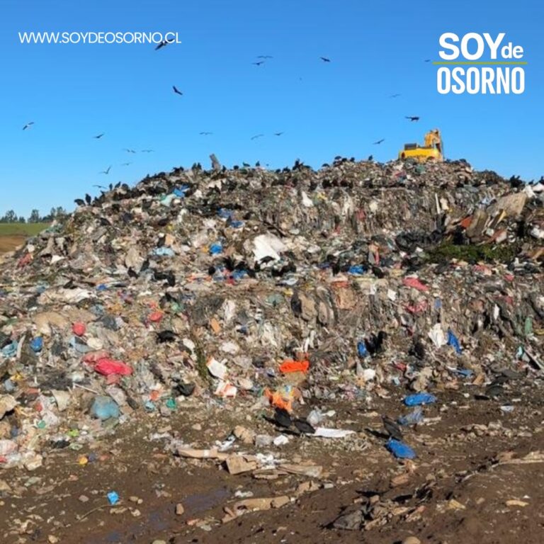 Preocupación por manejo del vertedero de Curaco: concejal Buschmann acusa negligencia municipal