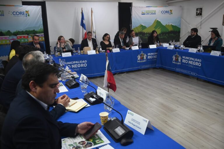 Junta de Vecinos El Tranquilo recibe recursos para impulsar Festival del Río Palena