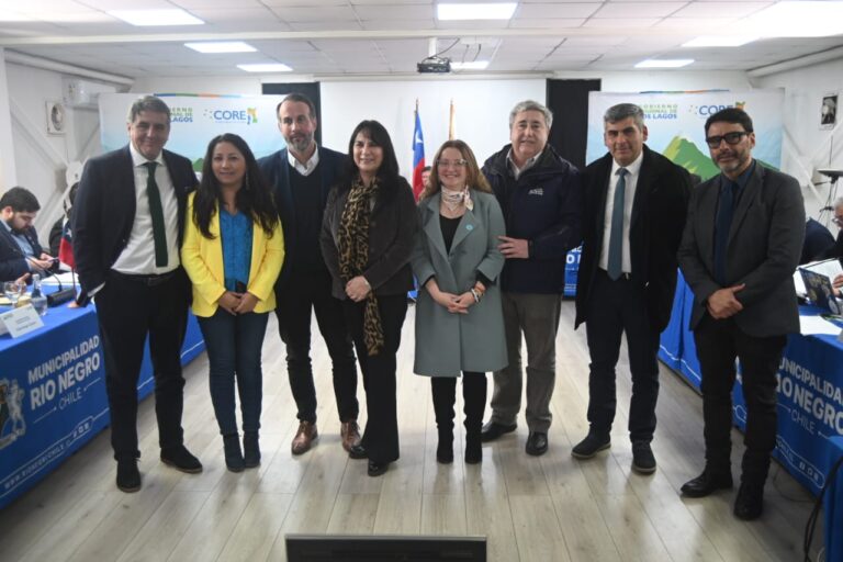 Consejo Regional aprueba más de mil millones de pesos para pavimentación de calles en Cañitas, comuna de Los Muermos