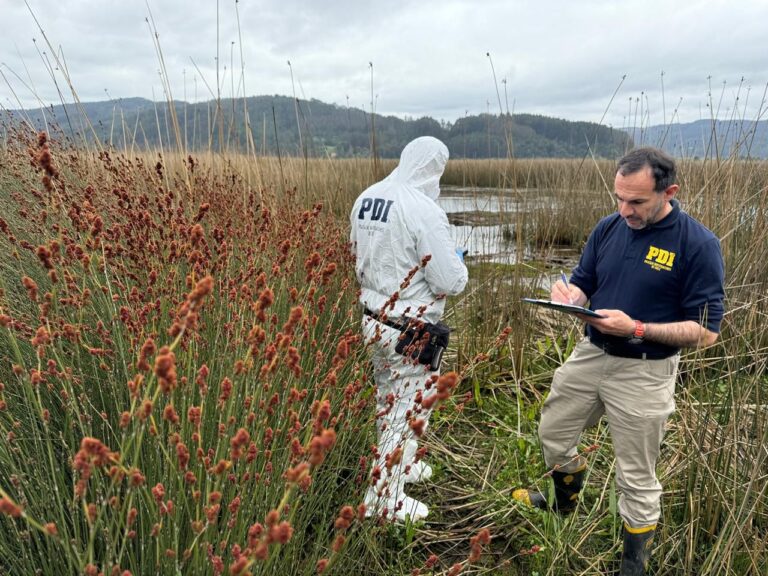 Trabajo de la PDI permitió condenar a dos personas por contaminar Santuario de la Naturaleza Angachilla en Valdivia