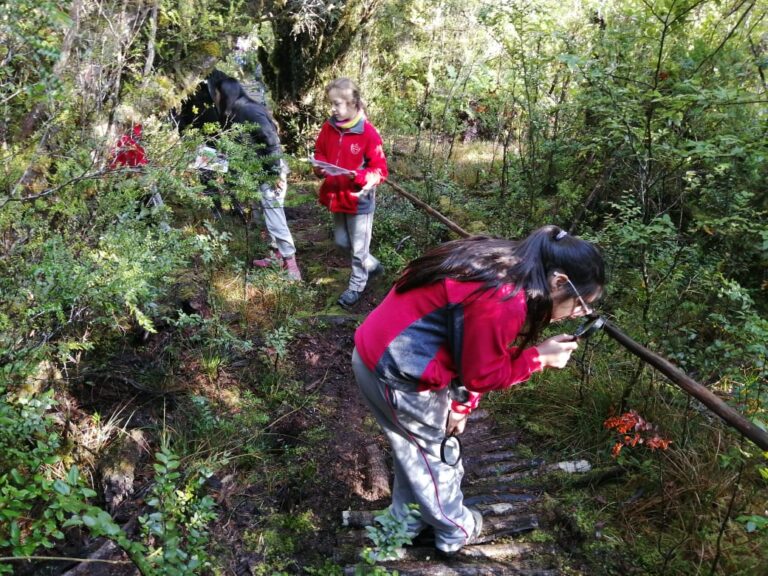 Estudiantes de Dalcahue reflexionan sobre el valor de las turberas en el Humedal de Aucar