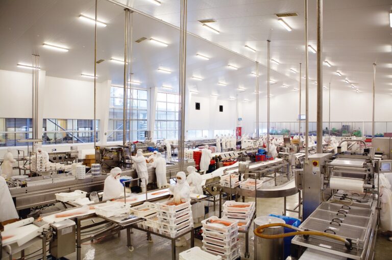 Salmón, mejillones, jurel y cerezas lideran alza de exportaciones de Los Lagos: envíos regionales crecen 5,2% en el primer semestre