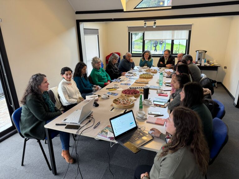 Con participación de Seremi de Ciencias el Comité Temático Transdisciplinar del PAR Explora Los Lagos realiza segunda reunión del año