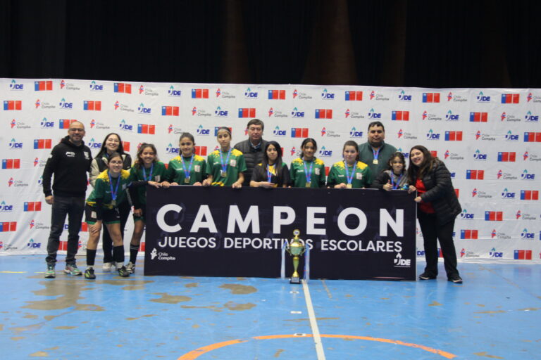 Puerto Montt y Calbuco representarán a la región en futsal en los Juegos Deportivos Escolares en Santiago