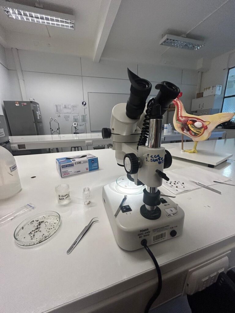 ¡Aún estás a tiempo! Postula al Premio InspiraTEC y visibiliza tu talento en Ciencia, Tecnología e Innovación