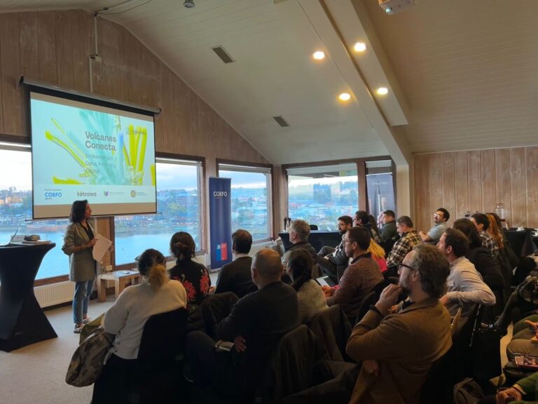 Volcanes Conecta: Red de innovación fortalece y proyecta a 34 emprendimientos del sur de Chile