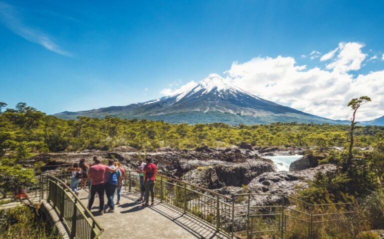 Exponen necesidades y plan de mejoras del Parque Vicente Pérez Rosales ante el CORE de cara a su centenario