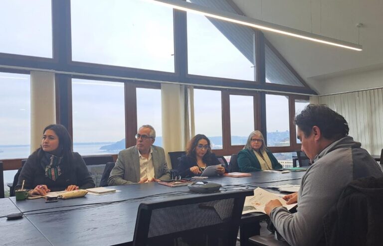 Comisión Provincial Palena aprobó aumento de presupuesto para diseño del primer Centro de Diálisis en Hualaihué