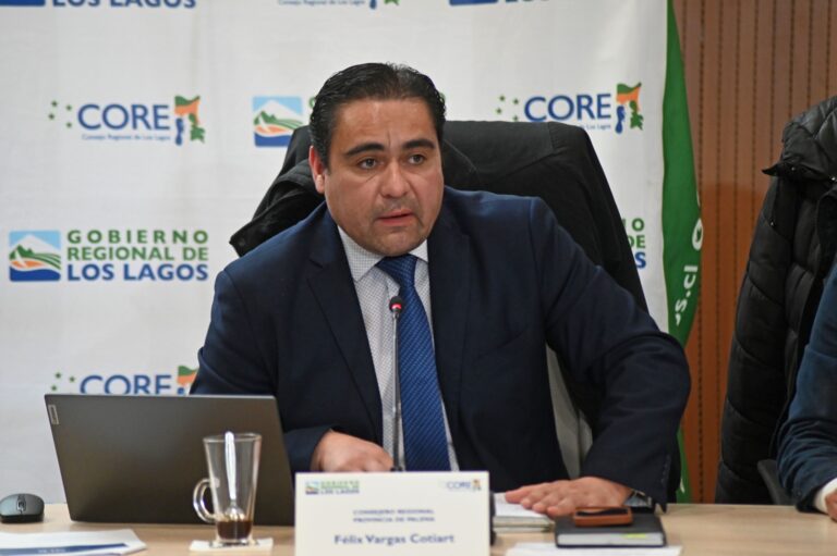 Consejero Vargas solicita gestiones urgentes ante alza de tarifas eléctricas que afecta a comunas aisladas de la provincia de Palena