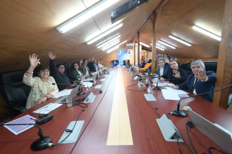 Consejo Regional destina más de $87 millones a proyectos sociales y culturales en la comuna de Futrono